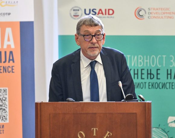 Zoran Manevski, Deputy Minister of Economy
